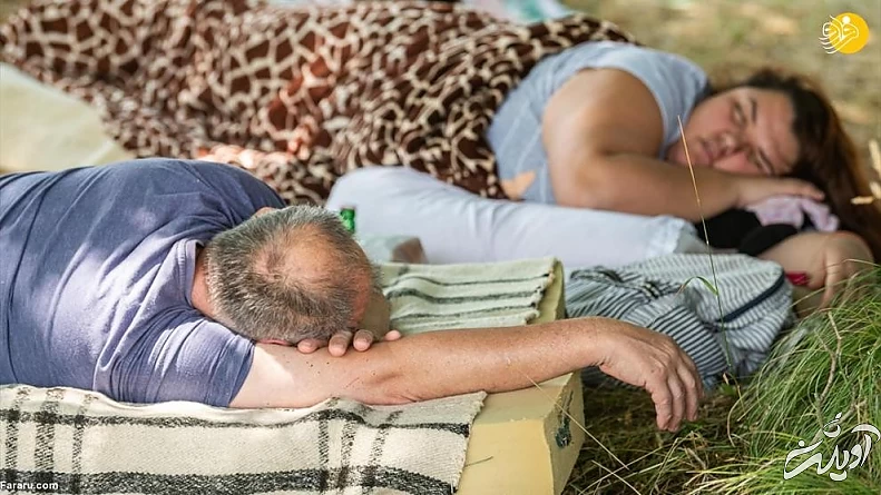 (تصاویر) مسابقه انتخاب تنبل‌ترین شهروند!